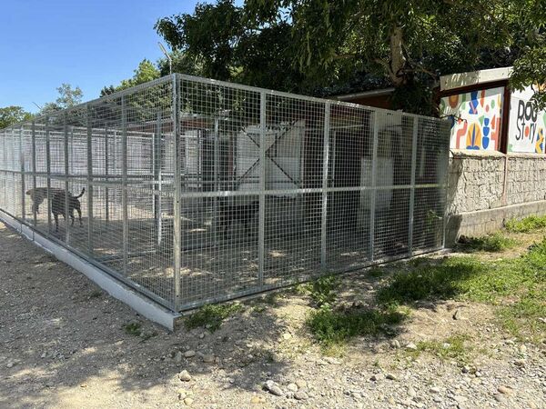 Structure pour des boxes extérieurs pour une pension canine