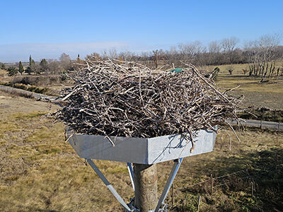 Cr&eacute;ation d'un nid artificielle pour cigognes